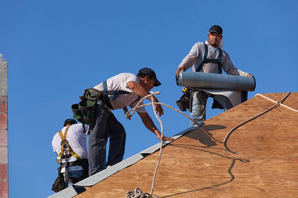 Best Metal Roofing Contractor  in Auburn, KS
